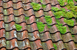 Roof Moss Removal Near Me High Wycombe